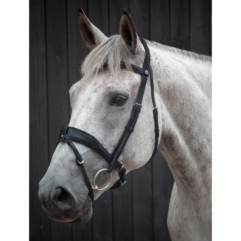 Henry James Dressage Bridle - Black-3